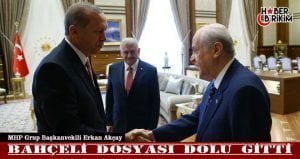 MHP Grup Başkanvekili Erkan Akçay, ”TSK, yargı ve emniyette maalesef