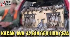 Orman ve Su İşleri Bakanlığı Doğa Koruma ve Milli Parklar