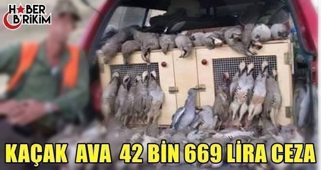 Orman ve Su İşleri Bakanlığı Doğa Koruma ve Milli Parklar