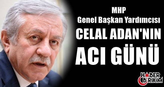 Milliyetçi Hareket Partisi Genel Başkan Yardımcısı ve istanbul Milletvekili Celal