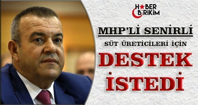 Güvenli siteler artık arama sonuçlarında en üst sıralarda yer alacak.