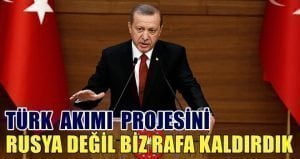 Cumhurbaşkanı Erdoğan, "Rusya ile aramızdaki sorunların doğalgaz, Akkuyu Nükleer Enerji