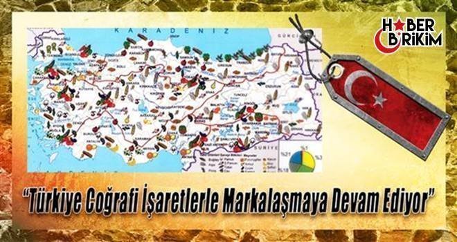 Bilim, Sanayi ve Teknoloji Bakanı Işık: “Coğrafi işaretlerle yerel değerlerin