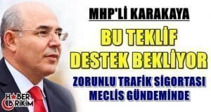 MHP Genel Başkan Yardımcısı Adana Milletvekili Mevlüt Karakaya, vatandaşı zor
