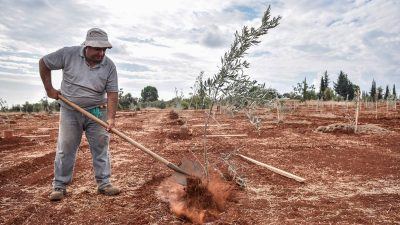 Kepez Belediyesi, tarımsal üretime ve doğanın korunmasına dikkat çekmek amacıyla